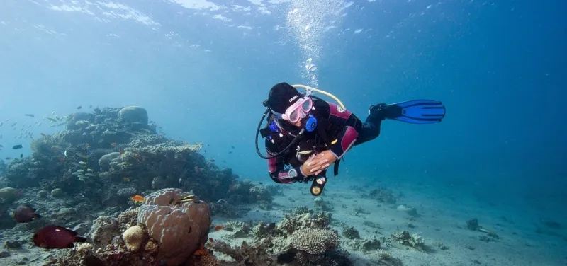 Diving in Egypt