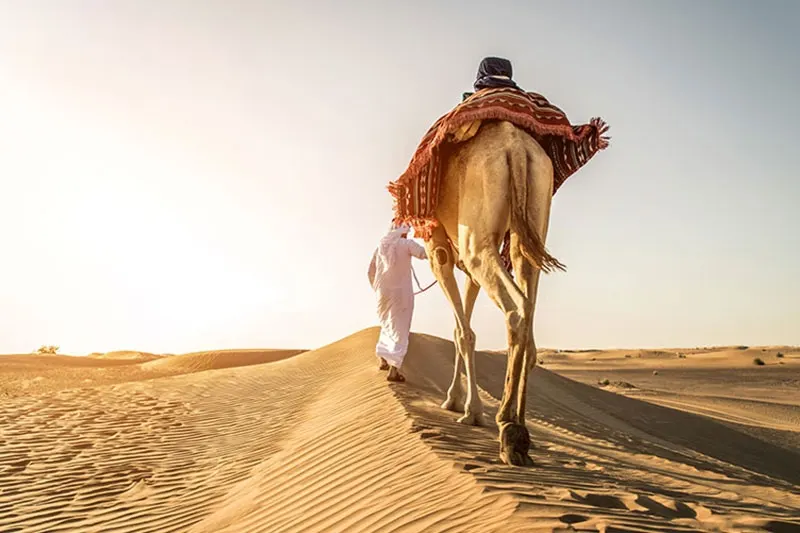 Forfait 10 jours Arabie Saoudite