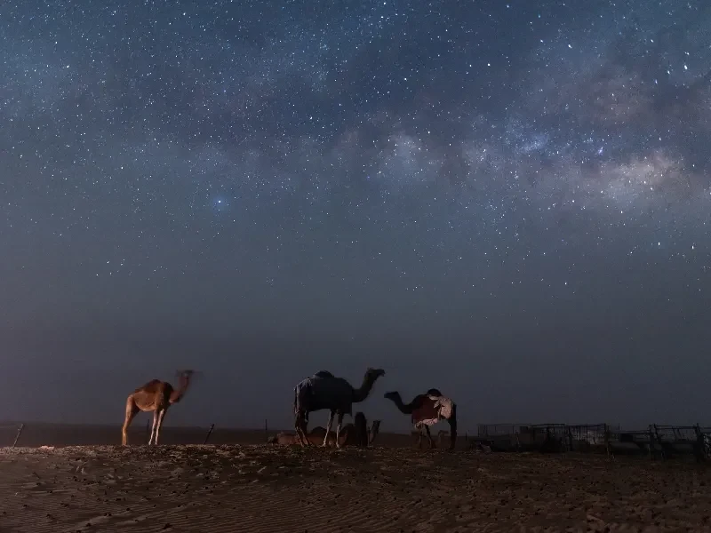 Rub al-Jali: Guía Completa del Desierto del Cuarto Vacío