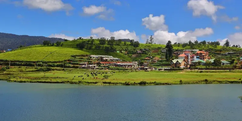 Gregory, en Nuwara Eliya, Sri Lanka.