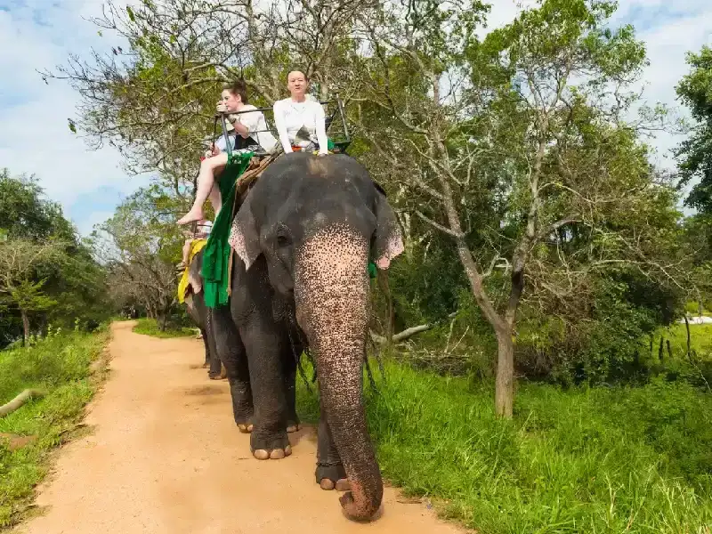 Tour por Sri Lanka