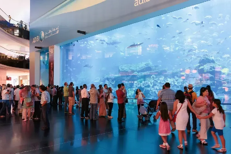 aquário de dubai