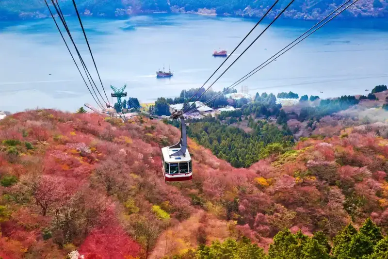 Japan Cultural Tour
