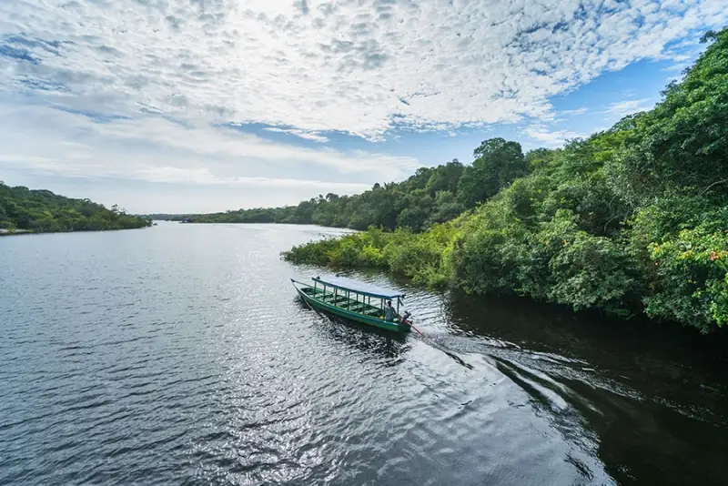 Amazon River Cruise: Amazon Jungle Cruise From Manaus