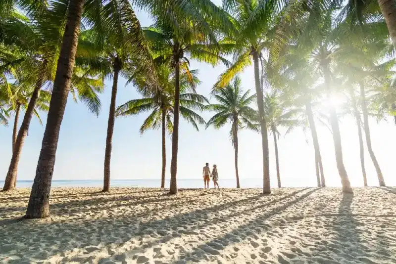pareja-de-pie-en-una-playa-de-arena-entre-palmeras-en-una-manana-soleada-junto-al-mar