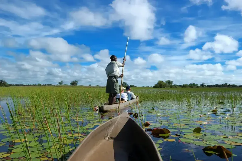 Botswana African Safari & Victoria Falls