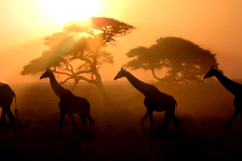 Etosha-Nationalpark, Namibia