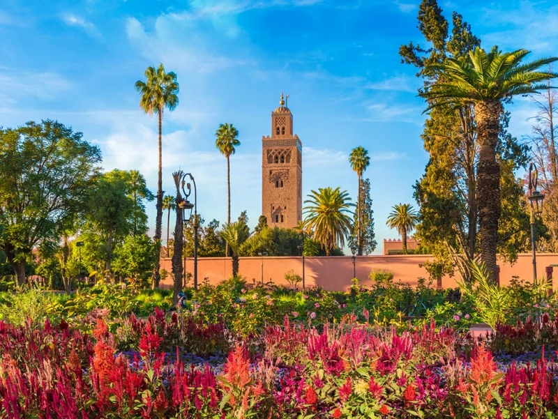 Pacote Marrakech com Deserto 