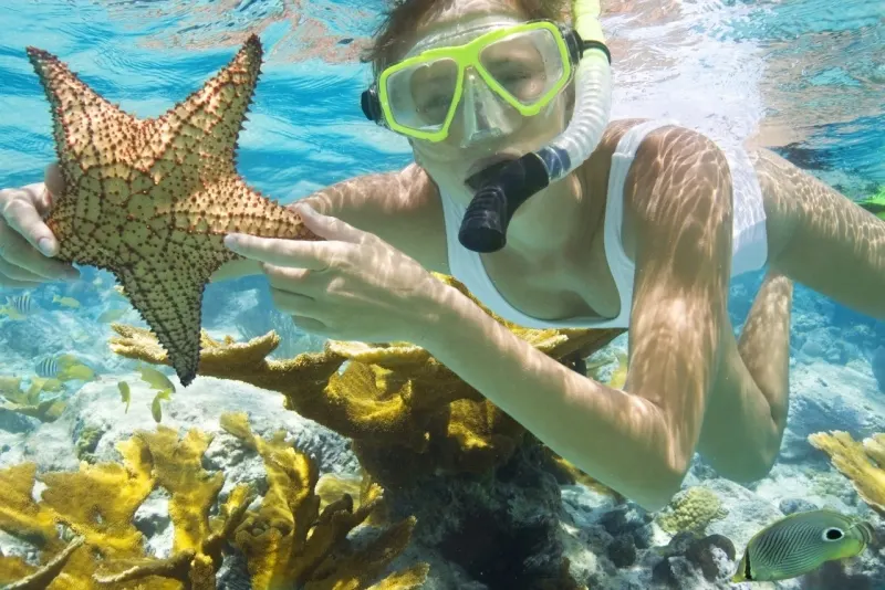 Snorkeling at Mahmya Beach - Giftun Island - Hurghada Snorkeling at Mahmya Beach - Giftun Island - Hurghada