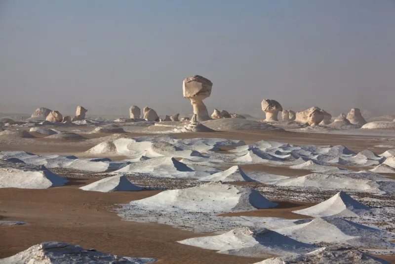 Desert Trip Egypt: Fayoum, Wadi El Hitan & The White Desert