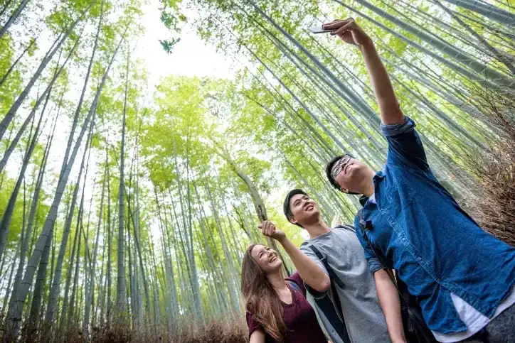 Golden Japan Private Tour