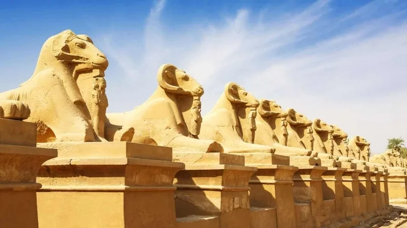 The Sphinxes Avenue at Karnak Temples The Sphinxes Avenue at Karnak Temples