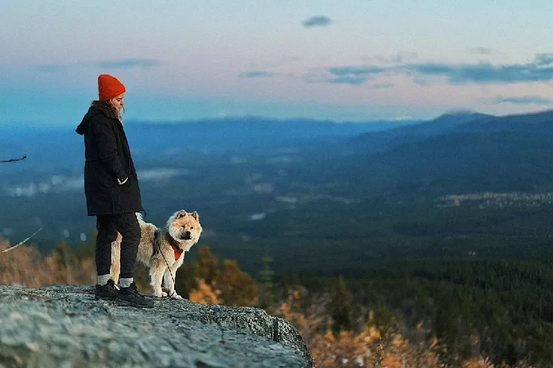 Rückansicht einer Frau, die auf einem Felsen bei Sonnenuntergang in den Himmel schaut