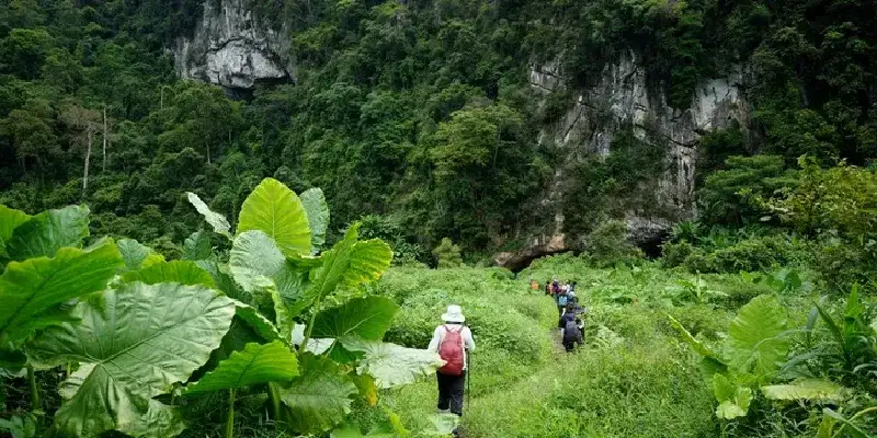 Caminata por la selva hacia la cueva Hang En en el Parque Nacional Phong Nha-Ke Bang, Vietnam.