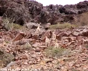 Samhan Mountain Oman