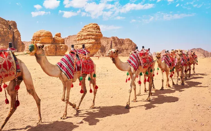 arabia saudita quando andare