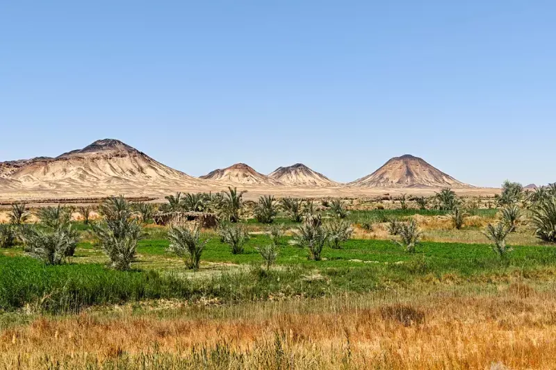 Deserto Occidentale egitto