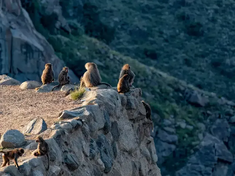 Abha saudita , citta di abha