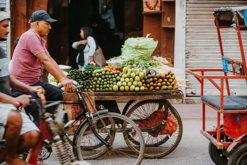 Un carrito de bicicleta cargado de frutas y verduras frescas.