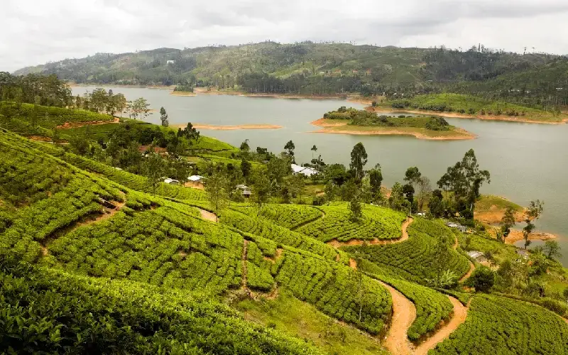 Kandy