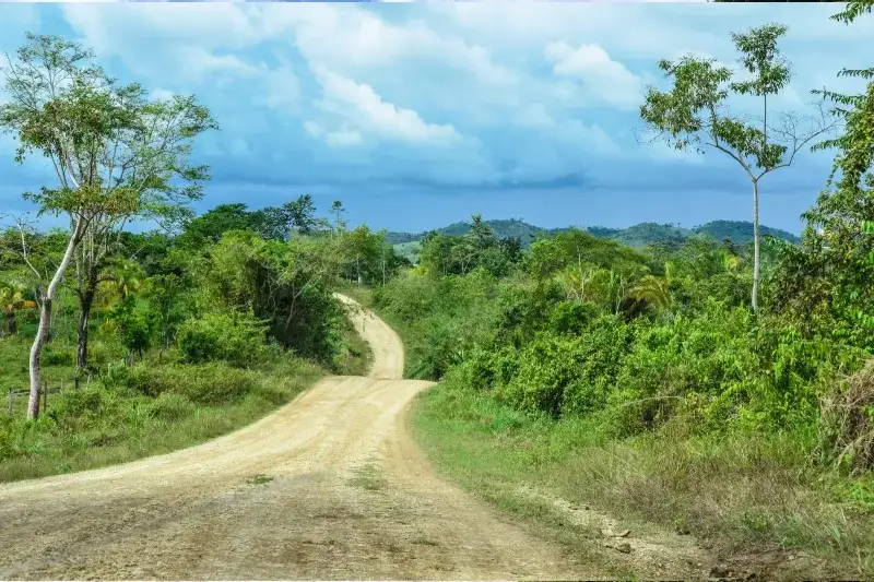 Landstraße im Inland von Belize mit grüner Vegetation und ländlicher Landschaft