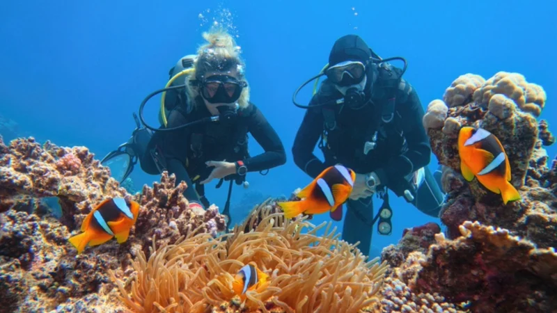 Family Adventure in Marsa Alam Egypt