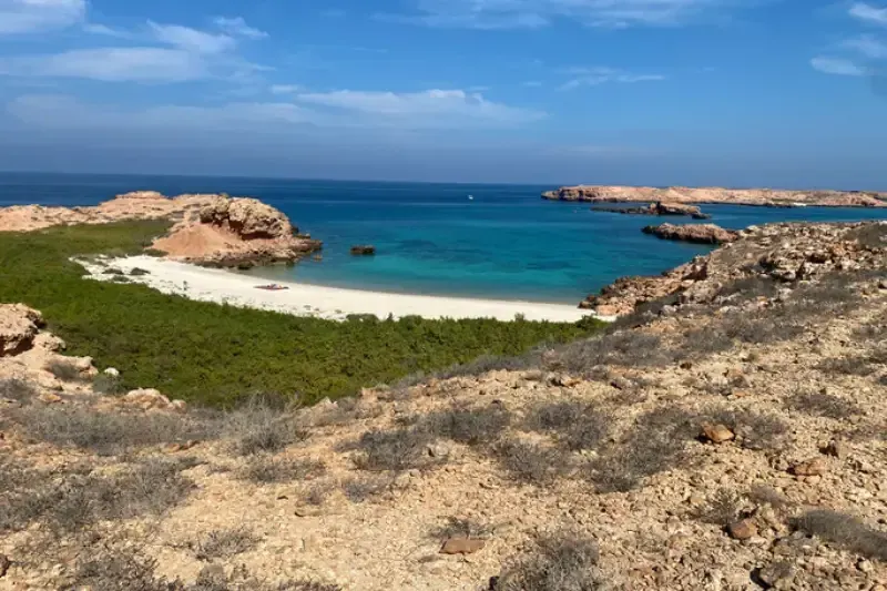 Il meraviglioso mondo delle Isole Daymaniyat nel Golfo dell'Oman.