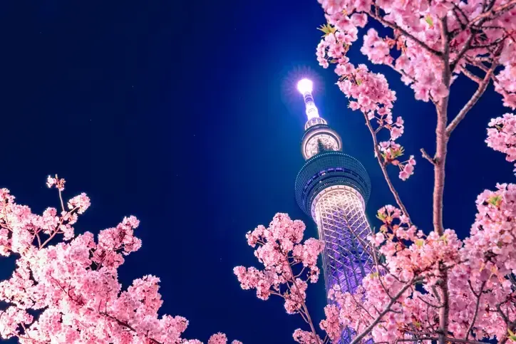 Golden Japan Private Tour