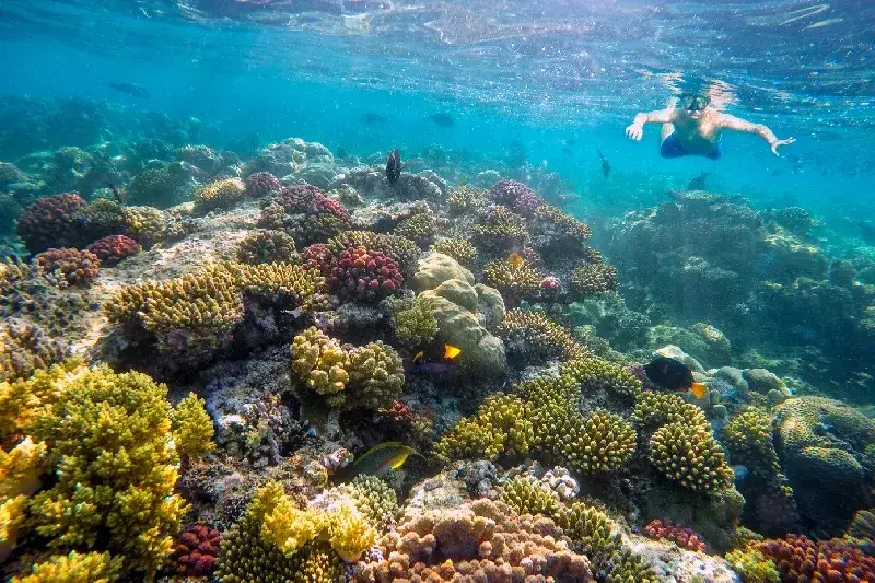 Junger Junge beim Schnorcheln unter Wasser im Roten Meer mit farbenfroher Meereswelt