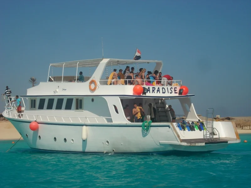 Schnorcheln Giftun Inseln ab Safaga