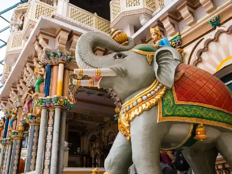 Mumbai ,Mumbai india