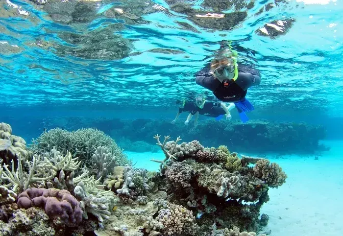 Snorkeling À L’île De Mahmya