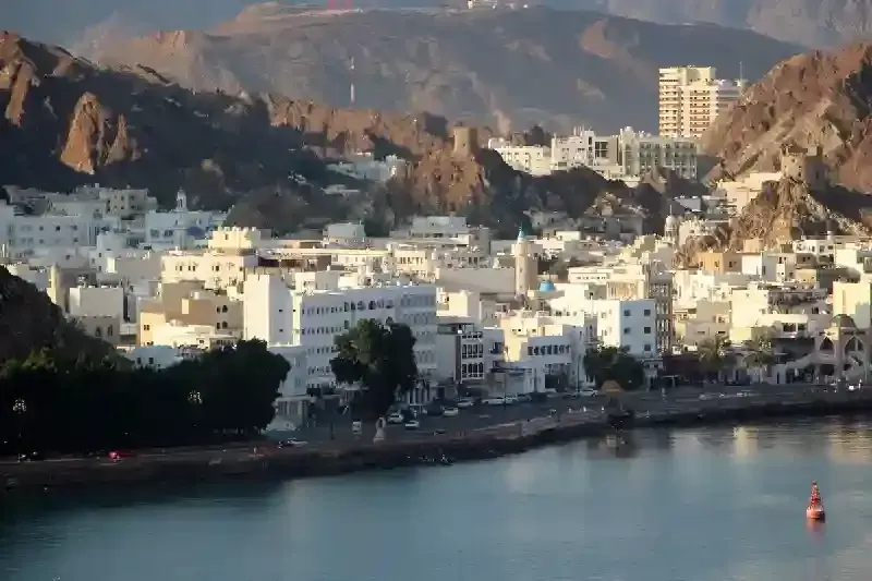 muscate, muscate oman