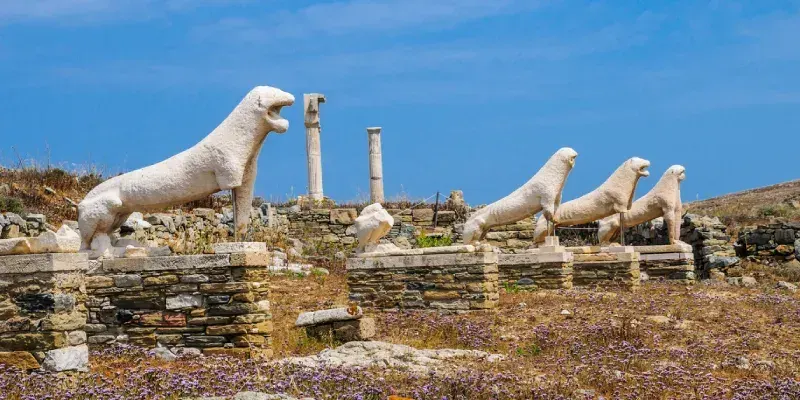 flores-silvestres-estatice-leones-antiguos-delos-grecia