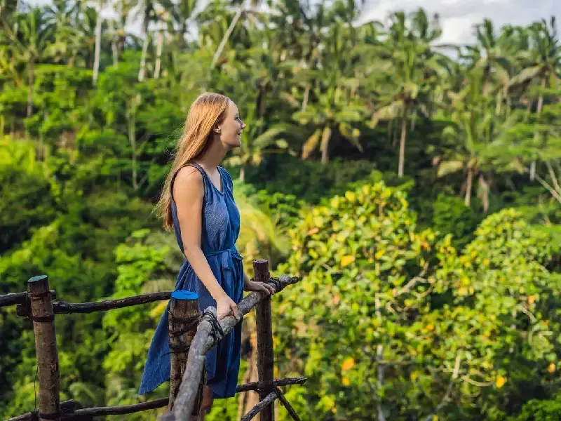 Cebu, Bohol & Siquijor: 10-Day Visayas Tropical Paradise