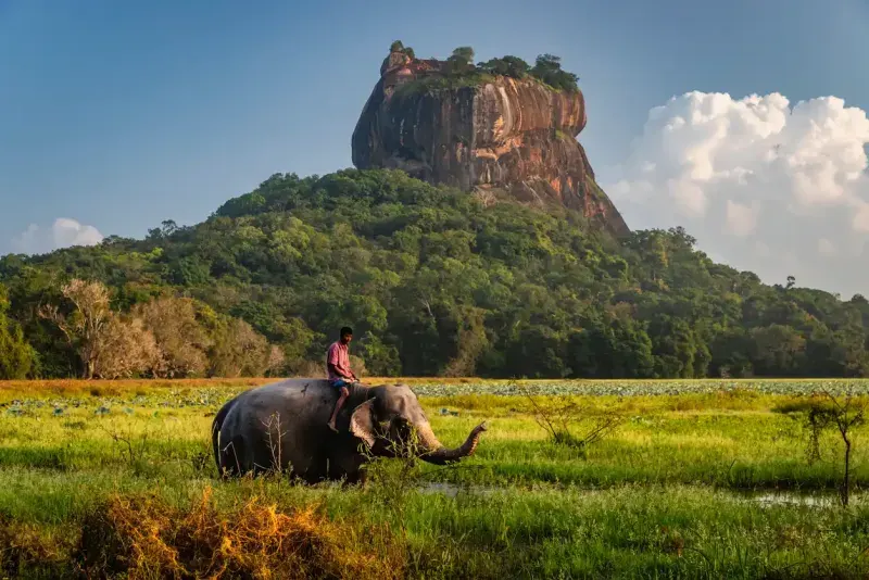 Sigiriya Rock
