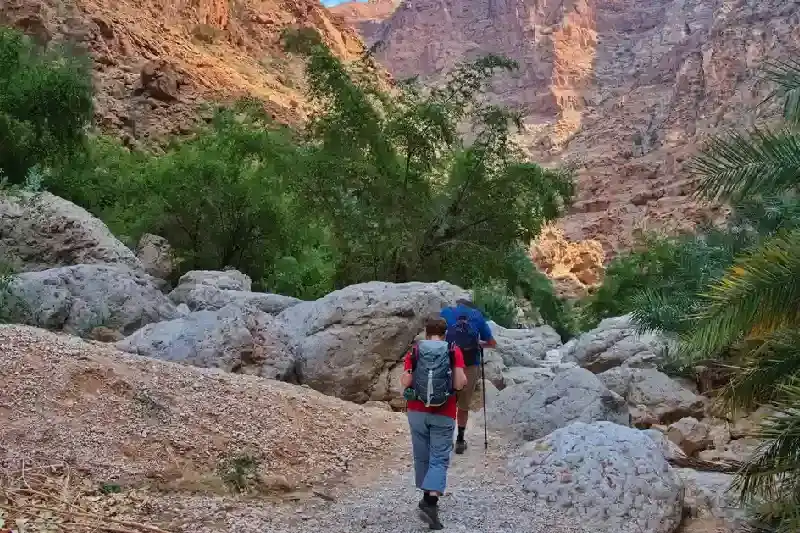Wadi Tiwi,Wadi Tiwi