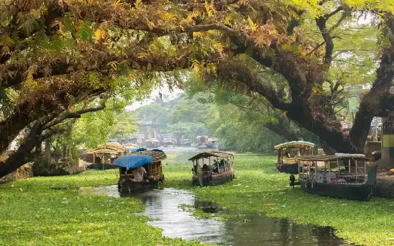 india del sud cosa vedere 