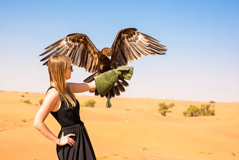 Os Tesouros da Turquia, Egito e Dubai