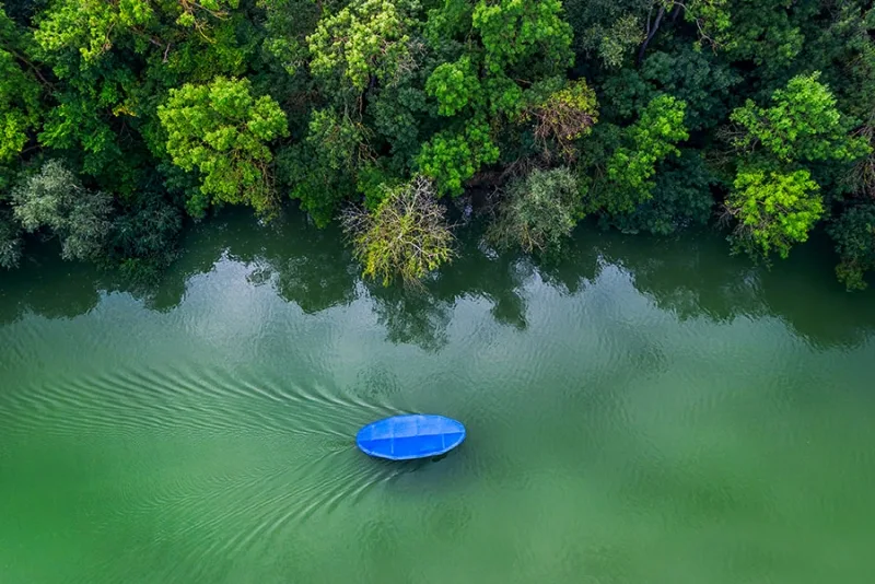 Amazon River Cruise: Amazon Jungle Cruise From Manaus
