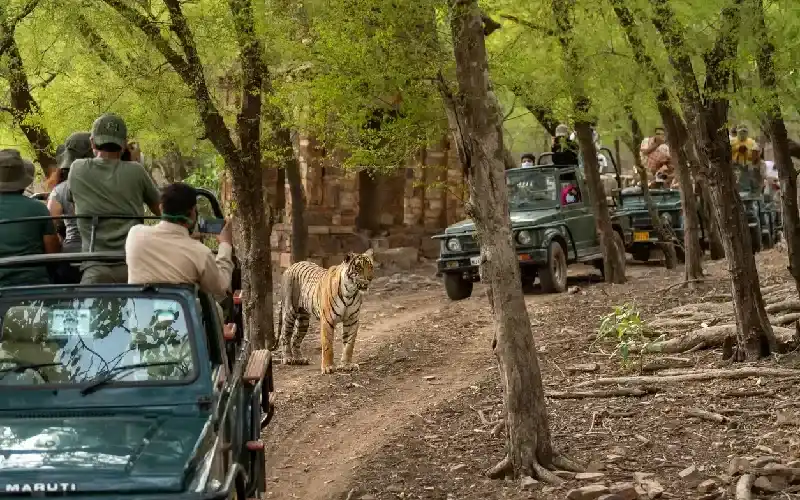 Viaggio di gruppo India in 10 giorni