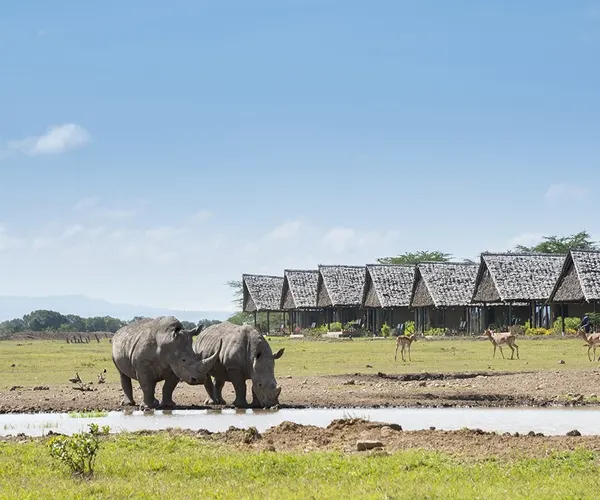 Sweetwaters Tented Camp
