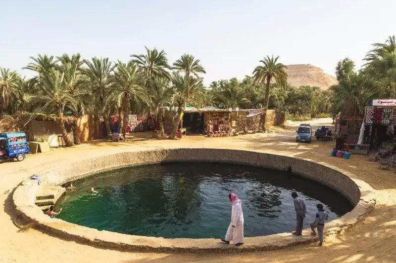 oasi di siwa
