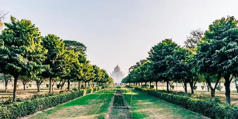 El Taj Mahal visto al atardecer desde el Mehtab Bagh.