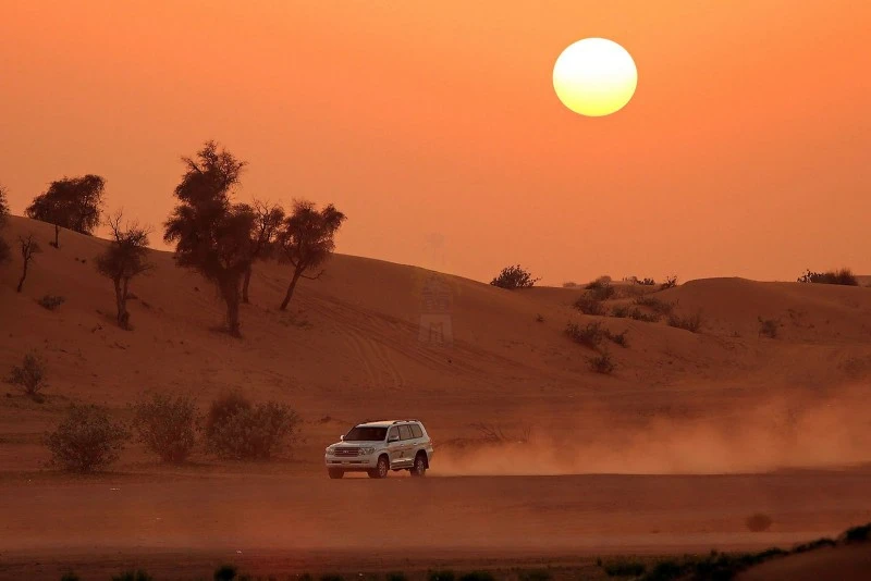 Desert Safari, Hurghada