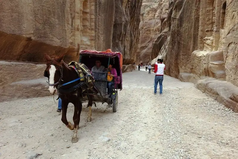 Siq of Petra