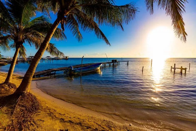 mete tropicali economiche