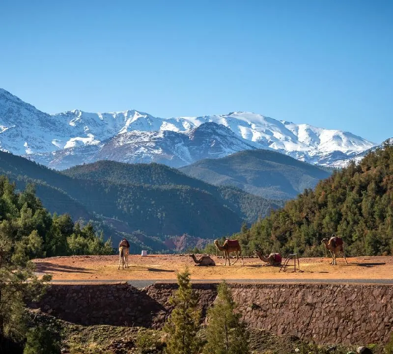 As Montanhas do Atlas