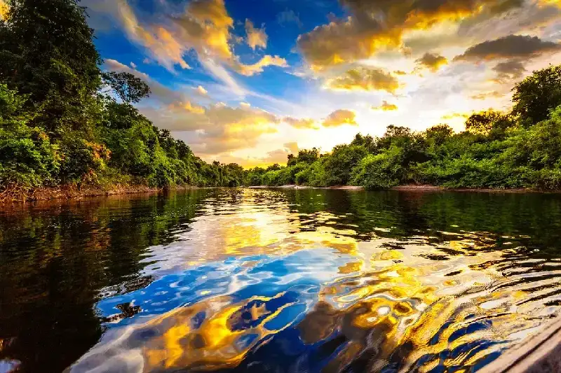 Dramatic tropical river landscape in the Venezuelan Amazon with dense rainforest and powerful flowing water under moody light conditions