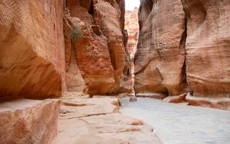 The Siq of Petra
